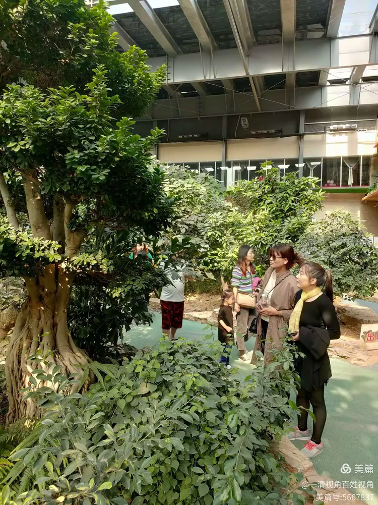 金沙洲壹号庄园游记